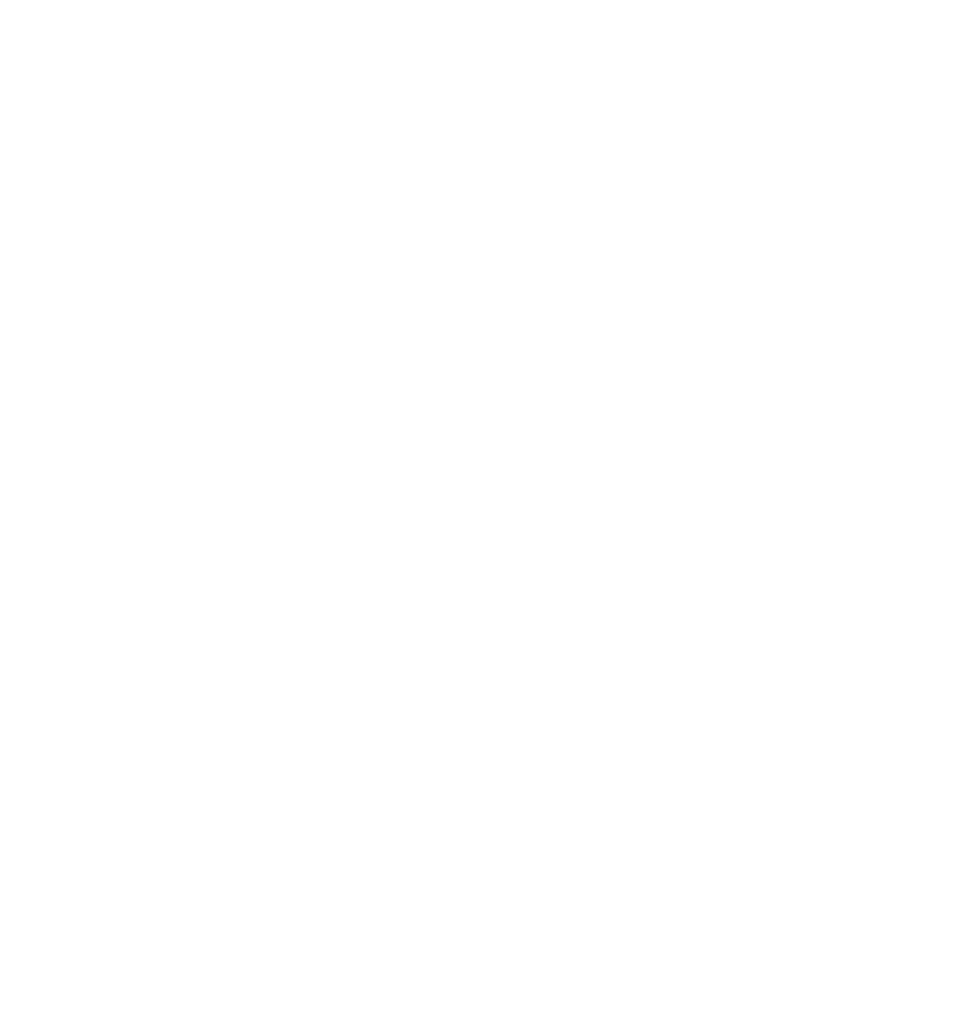 INSIGNIA WHITE